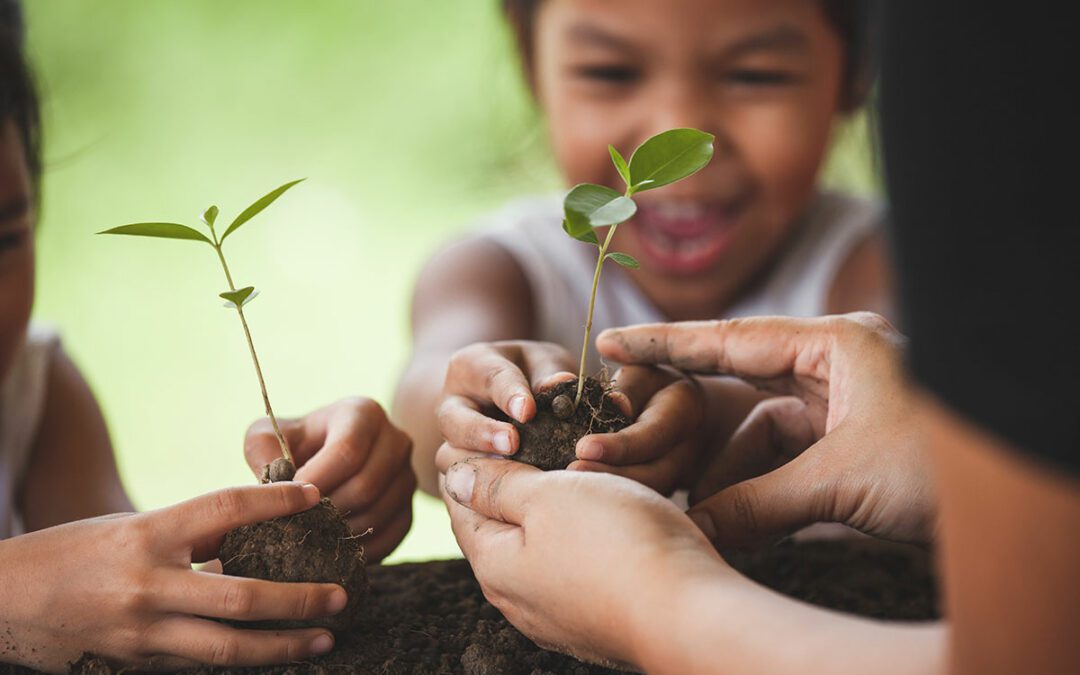Building An Eco-Friendly House