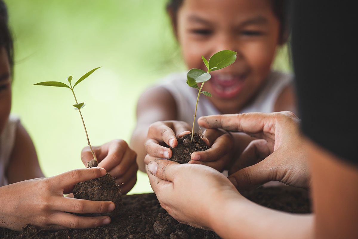 Building An Eco-Friendly House